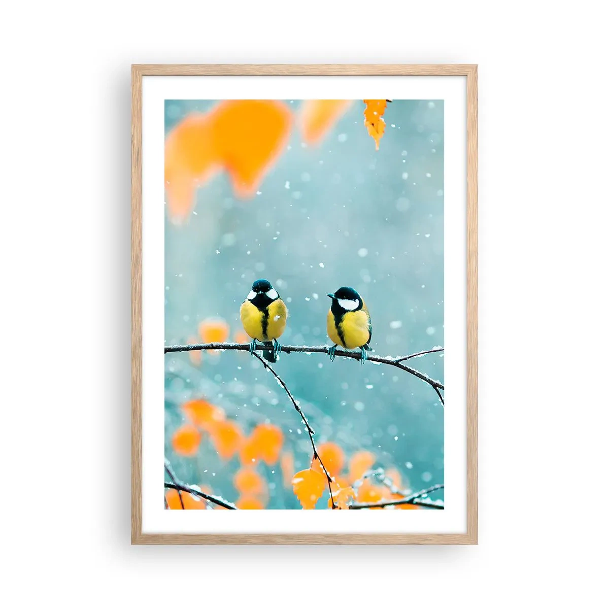 Pôster com moldura de carvalho claro - Fofoca de pássaros - 50x70 cm