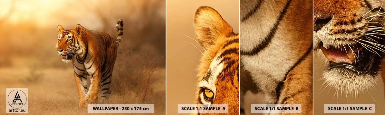 Amostra de papel de parede autocolante Deluxe Sticker - Antes do ataque - Animais, Tigre, África - 100x30 cm