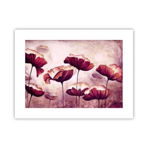 Pôster - Pétala vermelha e branca - 40x30 cm