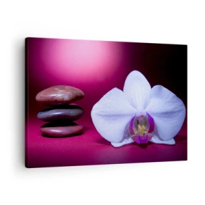 Quadro em tela - Orquídea branca e pedras em fundo rosa - 70x50cm - O estudo do frescor em roxo - Decoração de parede moderna para a sala de estar e quarto ARTTOR