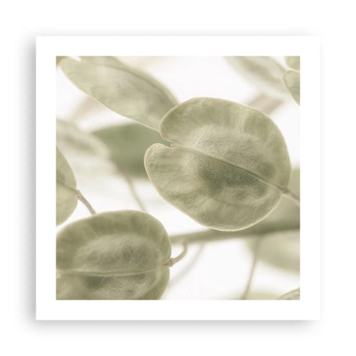 Pôster - No começo eram folhas... - 50x50 cm