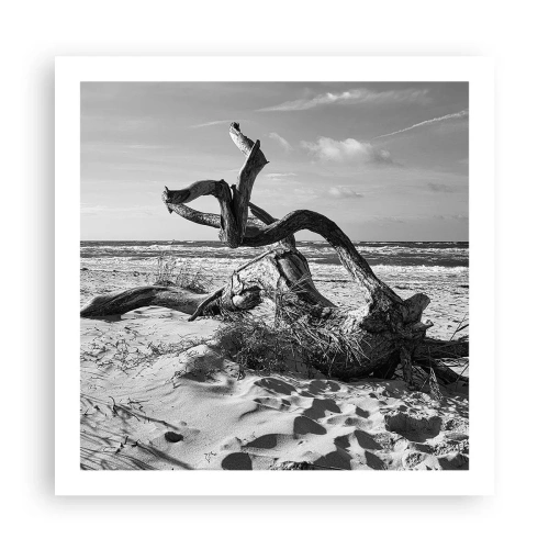 Pôster - Escultura do mar - 60x60 cm
