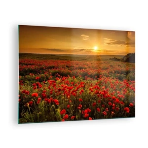 Quadro em vidro - Um campo de papoulas iluminado pelos raios do sol poente - 70x50cm - Entre o farfalhar da onda de prados, entre o dilúvio das flores - Decoração de parede moderna para a sala de estar e quarto ARTTOR