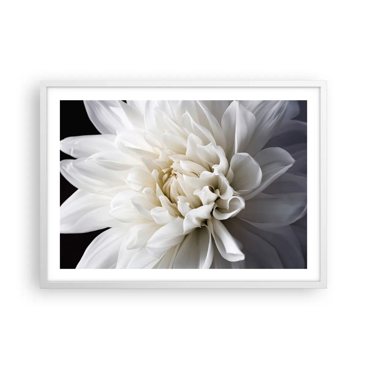 Pôster em moldura branca - Manhã da noiva - 70x50 cm