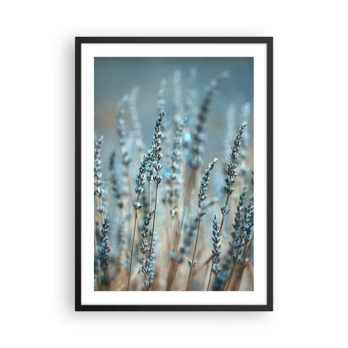 Pôster com moldura preta - Delicadas flores de lavanda em um fundo pastel - 50x70cm - Prado perfumado - Decoração de parede moderna para a sala de estar e quarto ARTTOR