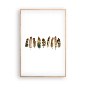 Pôster com moldura de carvalho claro - Variações de penas - 61x91 cm