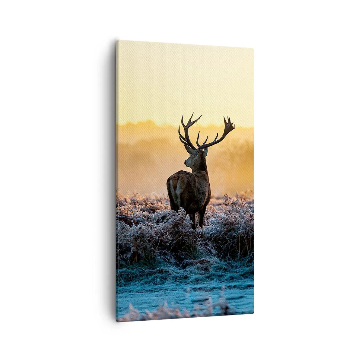 Quadro em tela - Coroado em sua terra - 55x100 cm