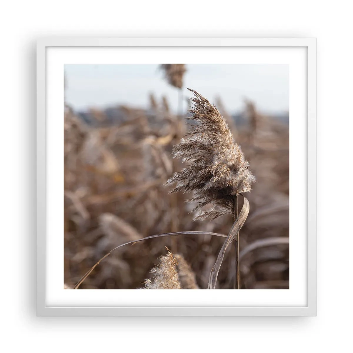 Pôster em moldura branca - É hora de voar com o vento - 50x50 cm