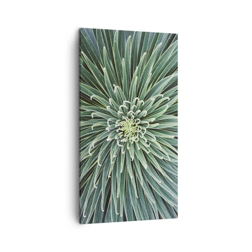 Quadro em tela - Nasce uma estrela - 45x80 cm