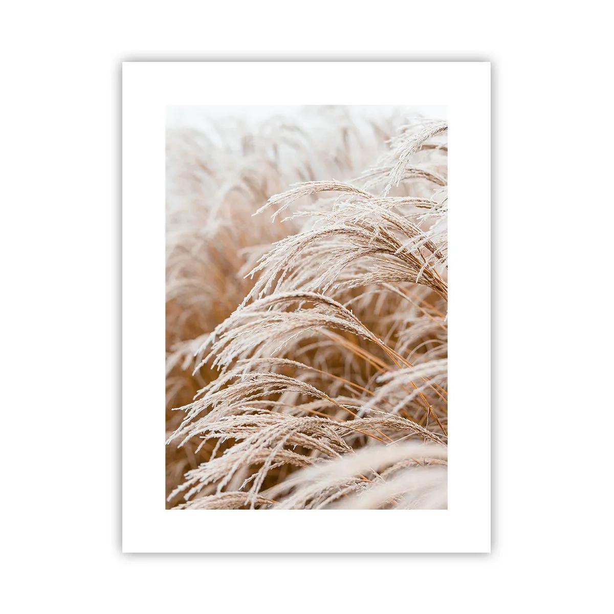 Pôster - Curvar-se ao sol de outono - 30x40 cm