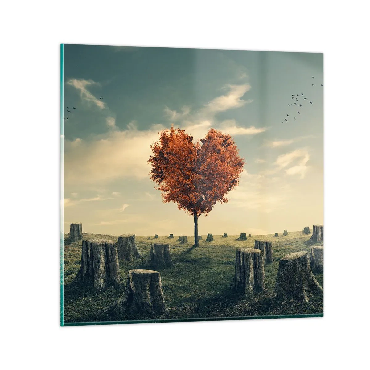 Quadro em vidro - Ainda há esperança - 70x70 cm