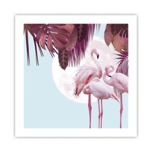 Pôster - Três graças de pássaros - 50x50 cm