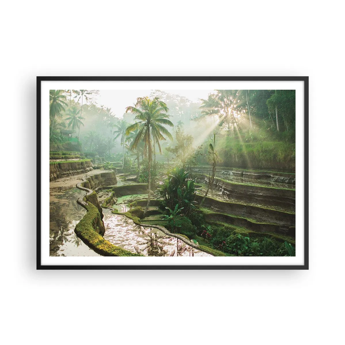Pôster com moldura preta - Crescer ao sol - 100x70 cm