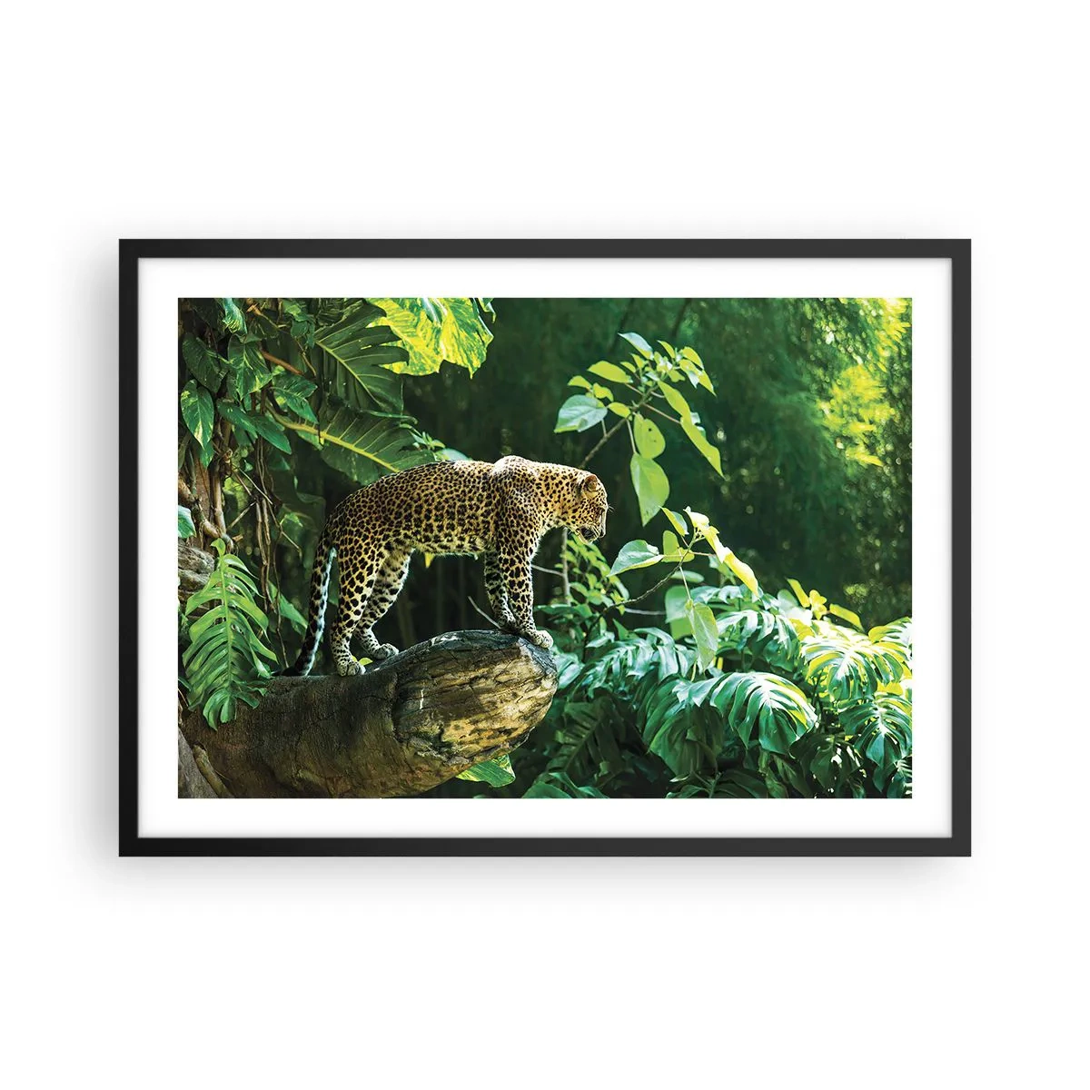 Pôster com moldura preta - Vamos caçar? - 70x50 cm
