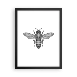 Pôster com moldura preta - Retrato de um inseto - 30x40 cm
