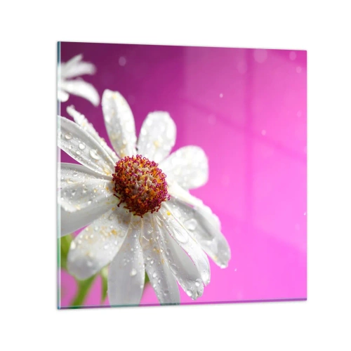 Quadro em vidro - Modesto em sua beleza - 30x30 cm