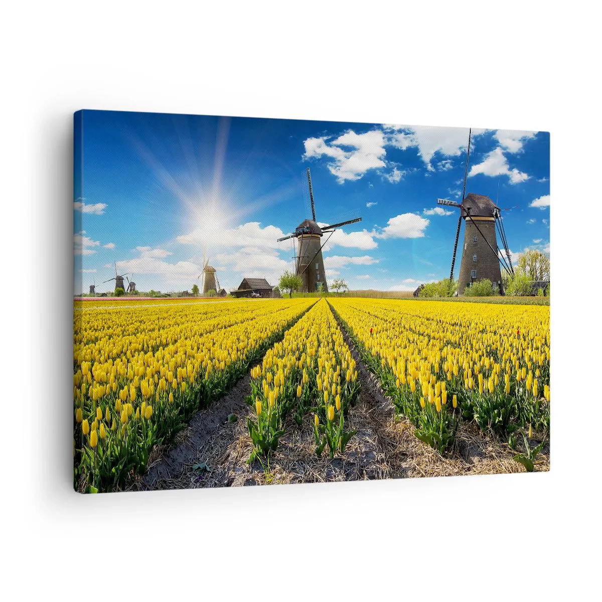 Quadro em tela - Um campo de tulipas amarelas com moinhos de vento no horizonte - 70x50cm - Nada mais holandês do que isso - Decoração de parede moderna para a sala de estar e quarto ARTTOR