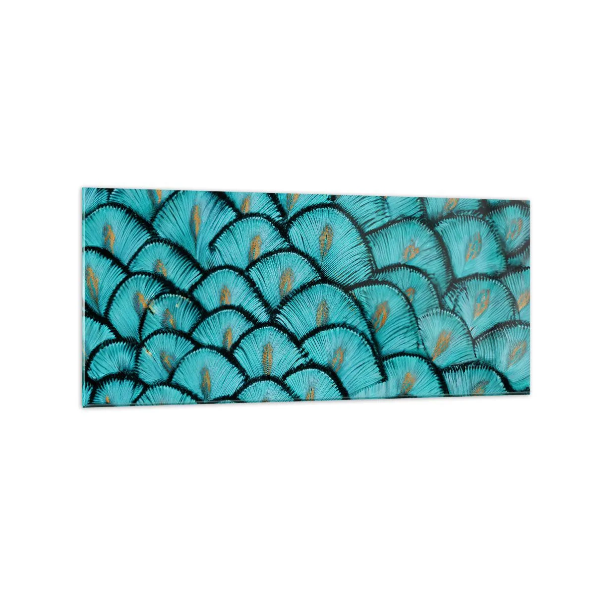 Quadro em vidro - A grande gala de penas - 120x50 cm