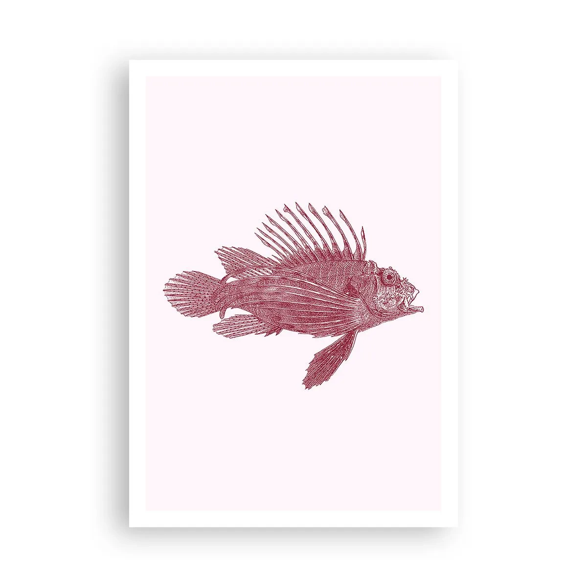 Pôster - Um habitante de águas exóticas - 70x100 cm