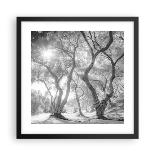 Pôster com moldura preta - No olival - 40x40 cm