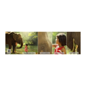 Amostra de papel de parede Premium Canvas - O poder da amizade - Animais, Elefante, Garota - 100x30 cm