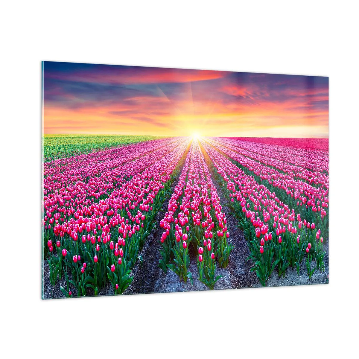 Quadro em vidro - Quinta da Beleza - 100x70 cm