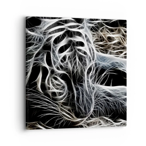 Quadro em tela - Um estudo da leveza do gato - 30x30 cm