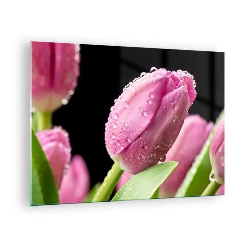 Quadro em vidro - Tulipas cor de rosa cobertas com gotas de orvalho em um fundo preto - 70x50cm - Sonho lilás em orvalho - Decoração de parede moderna para a sala de estar e quarto ARTTOR