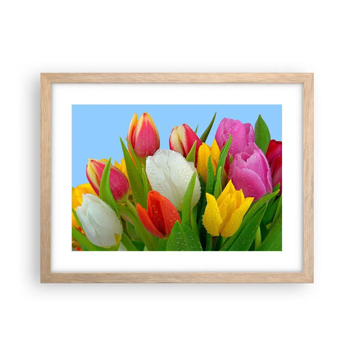 Pôster com moldura de carvalho claro - Arco-íris floral em gotas de orvalho - 40x30 cm