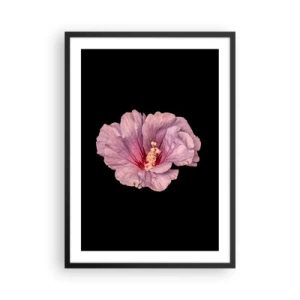 Pôster com moldura preta - Delicada flor de hibisco rosa sobre fundo preto - 50x70cm - Direto para o coração - Decoração de parede moderna para a sala de estar e quarto ARTTOR