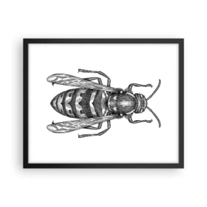 Pôster com moldura preta - De um planeta de insetos - 50x40 cm