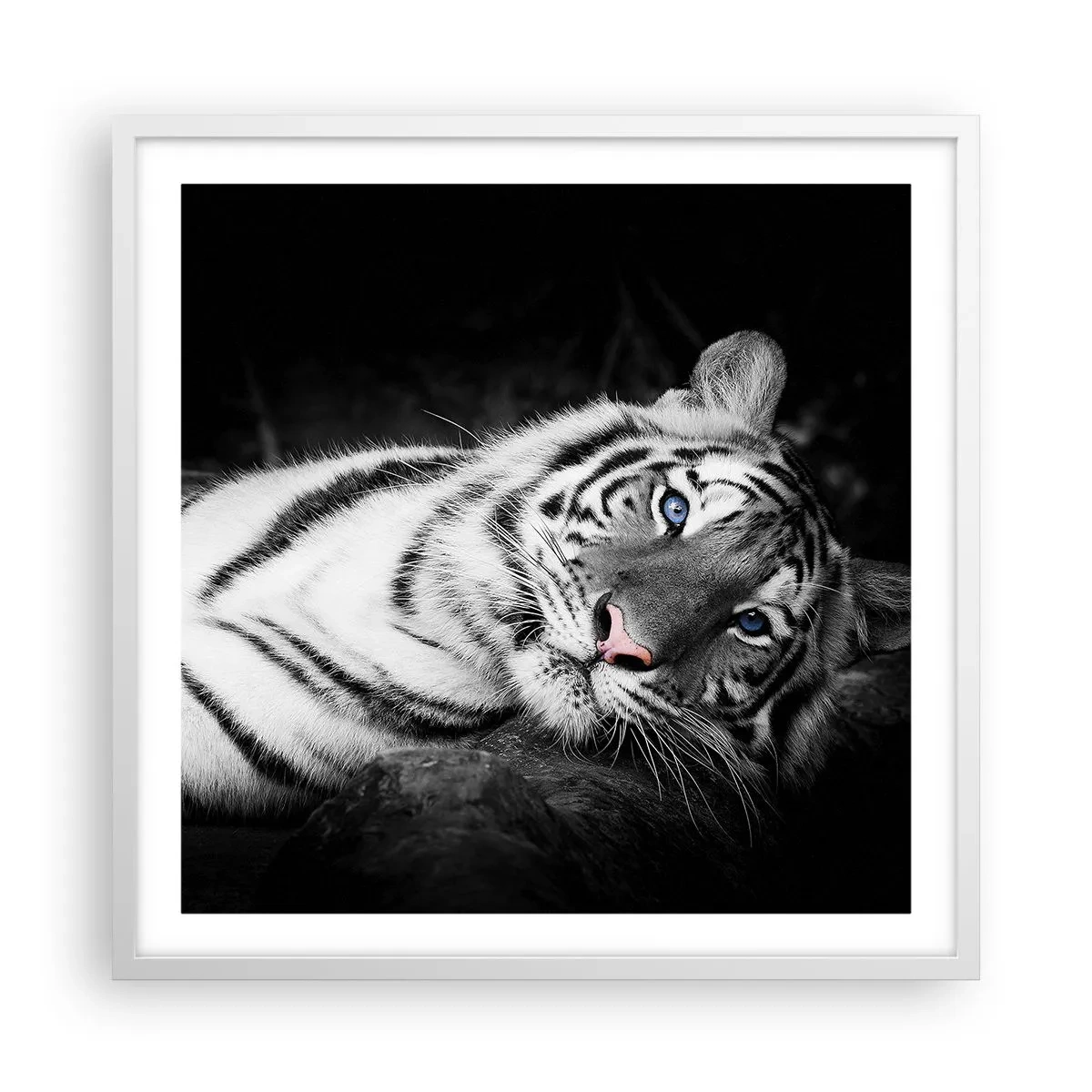 Pôster em moldura branca - Selvagem e tranquilo - 60x60 cm