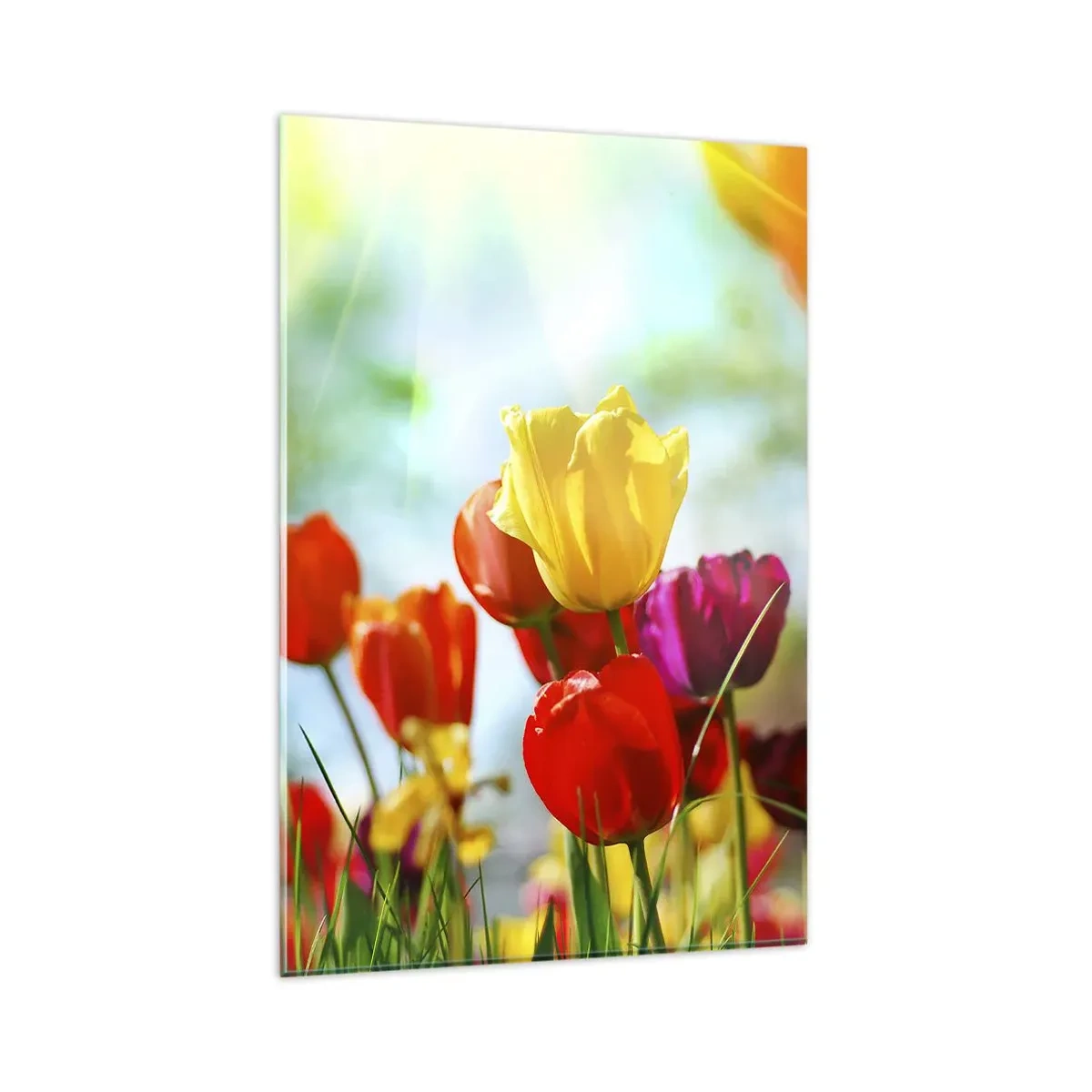 Quadro em vidro - Todas as cores do sol - 80x120 cm