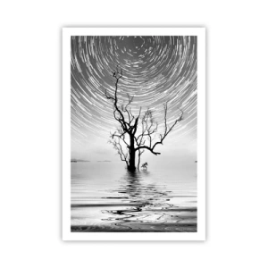 Pôster - Sinfonia da natureza - 61x91 cm