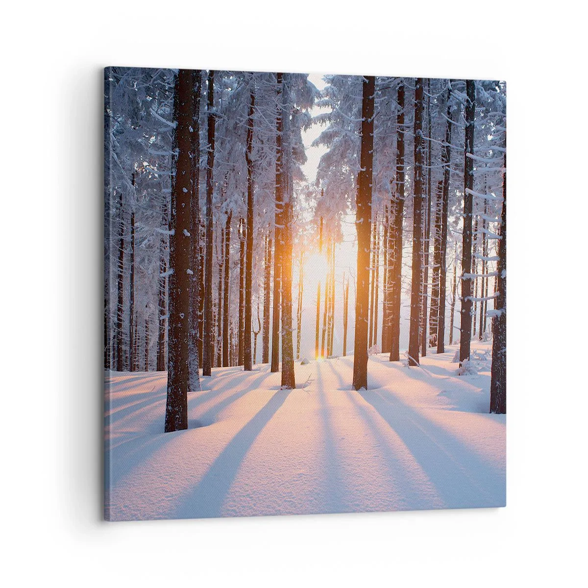 Quadro em tela - Preto no branco - 60x60 cm