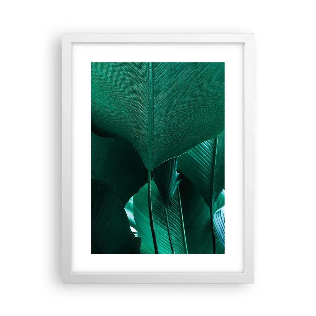 Pôster em moldura branca - De frente para a luz - 30x40 cm