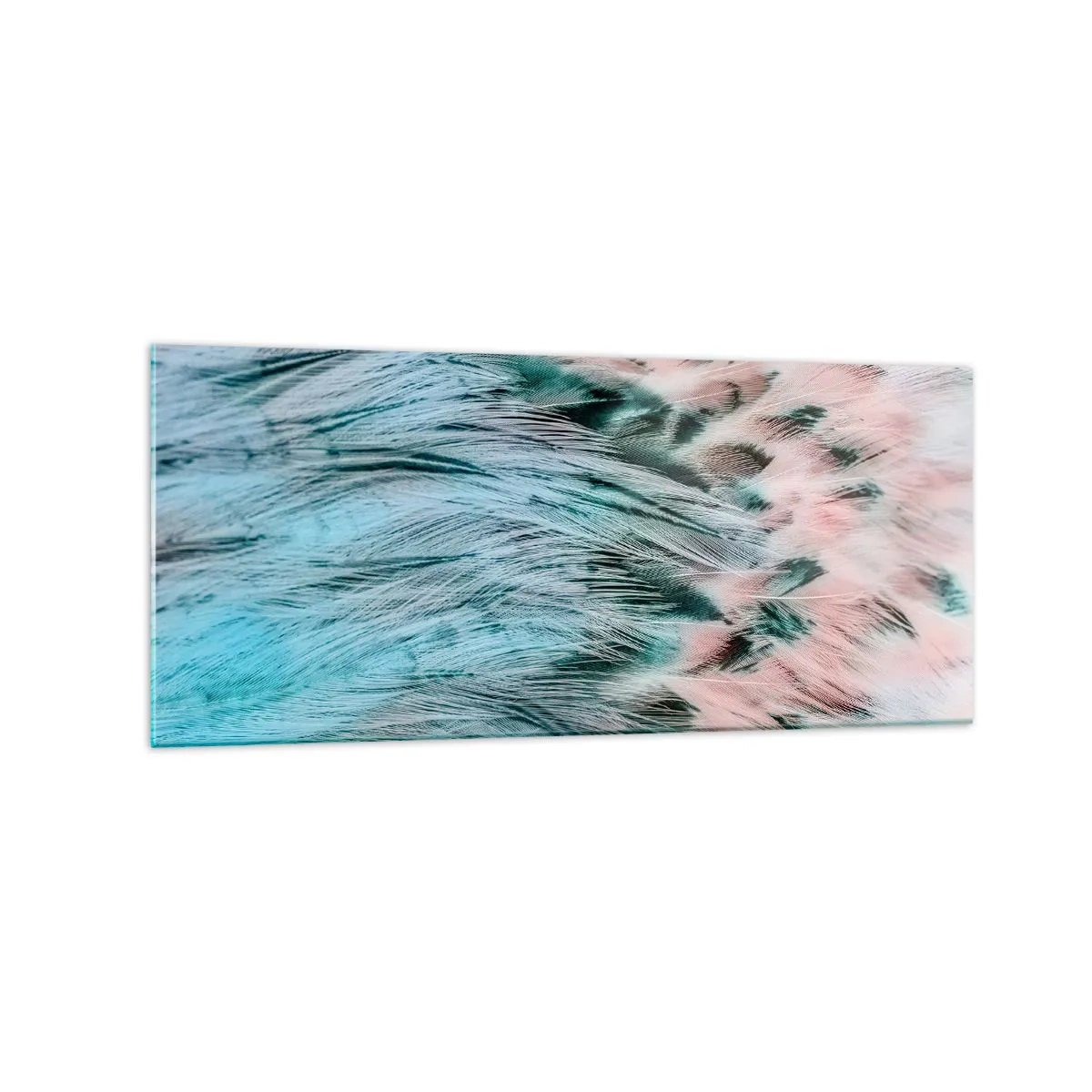 Quadro em vidro - Penugem safira-rosa - 120x50 cm