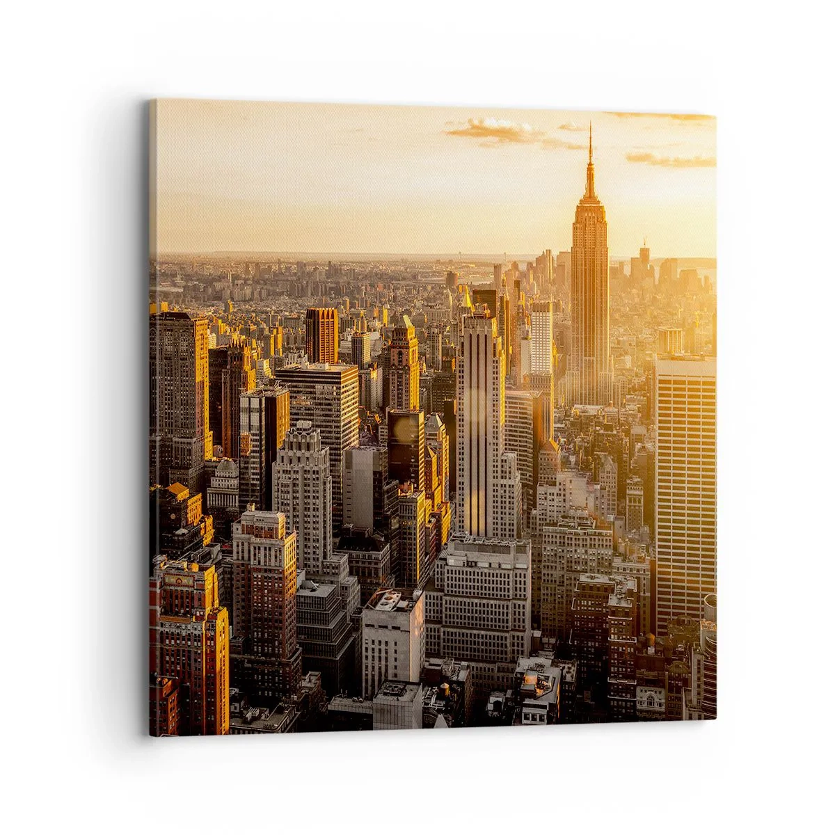 Quadro em tela - Crescer ao sol - 70x70 cm