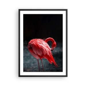 Pôster com moldura preta - Um flamingo vermelho sobre um fundo escuro, sutilmente voltado para si mesmo. - 50x70cm - Poema carmesim da natureza - Decoração de parede moderna para a sala de estar e quarto ARTTOR