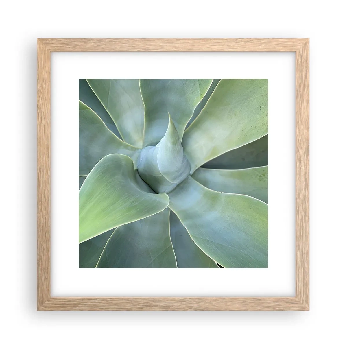 Pôster com moldura de carvalho claro - O nascimento da vegetação - 30x30 cm