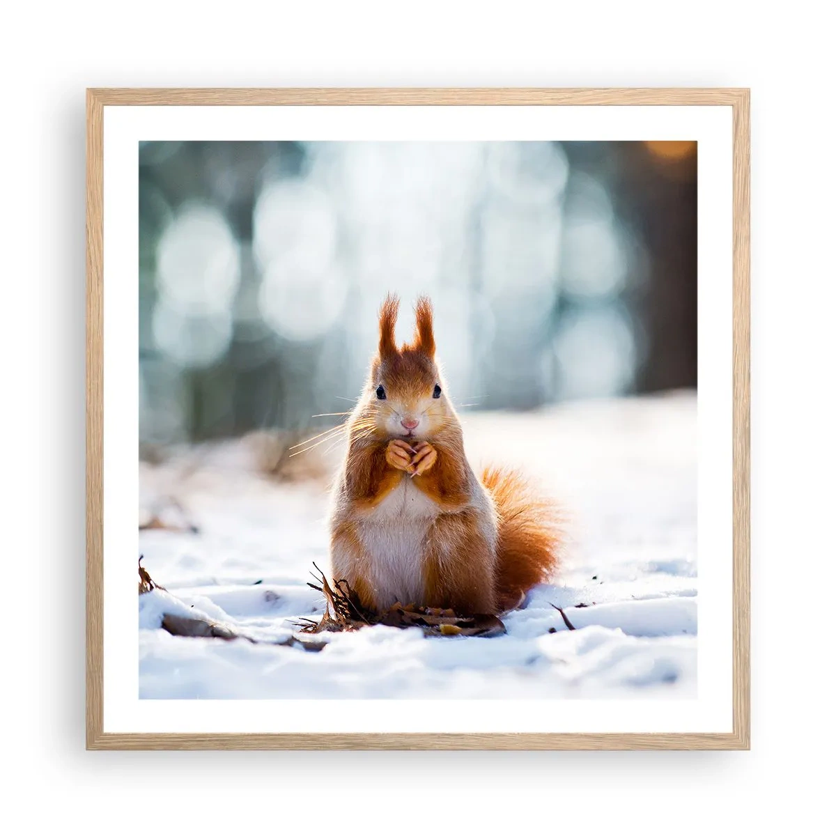 Pôster com moldura de carvalho claro - Para o que estás a olhar? - 60x60 cm