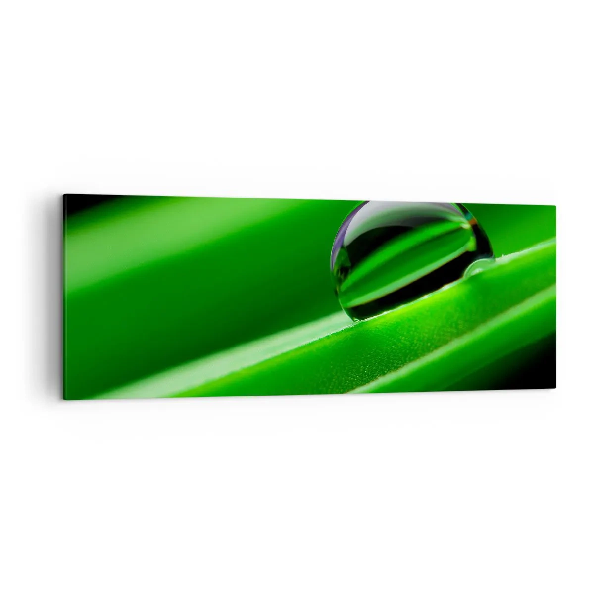 Quadro em tela - A vida de perto - 140x50 cm