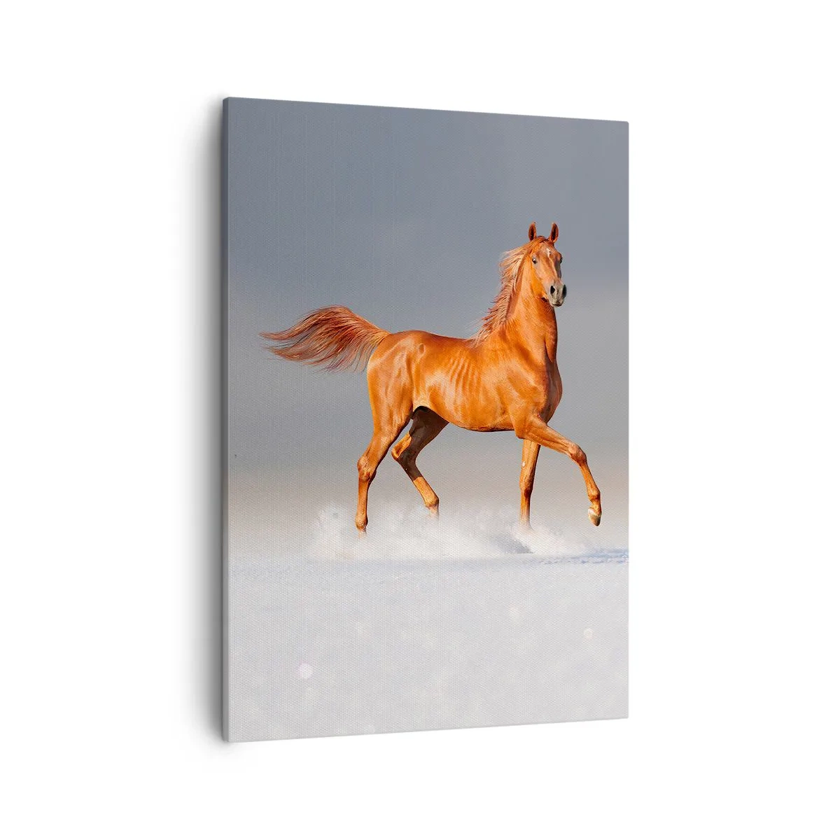 Quadro em tela - Graça Dançante - 50x70 cm