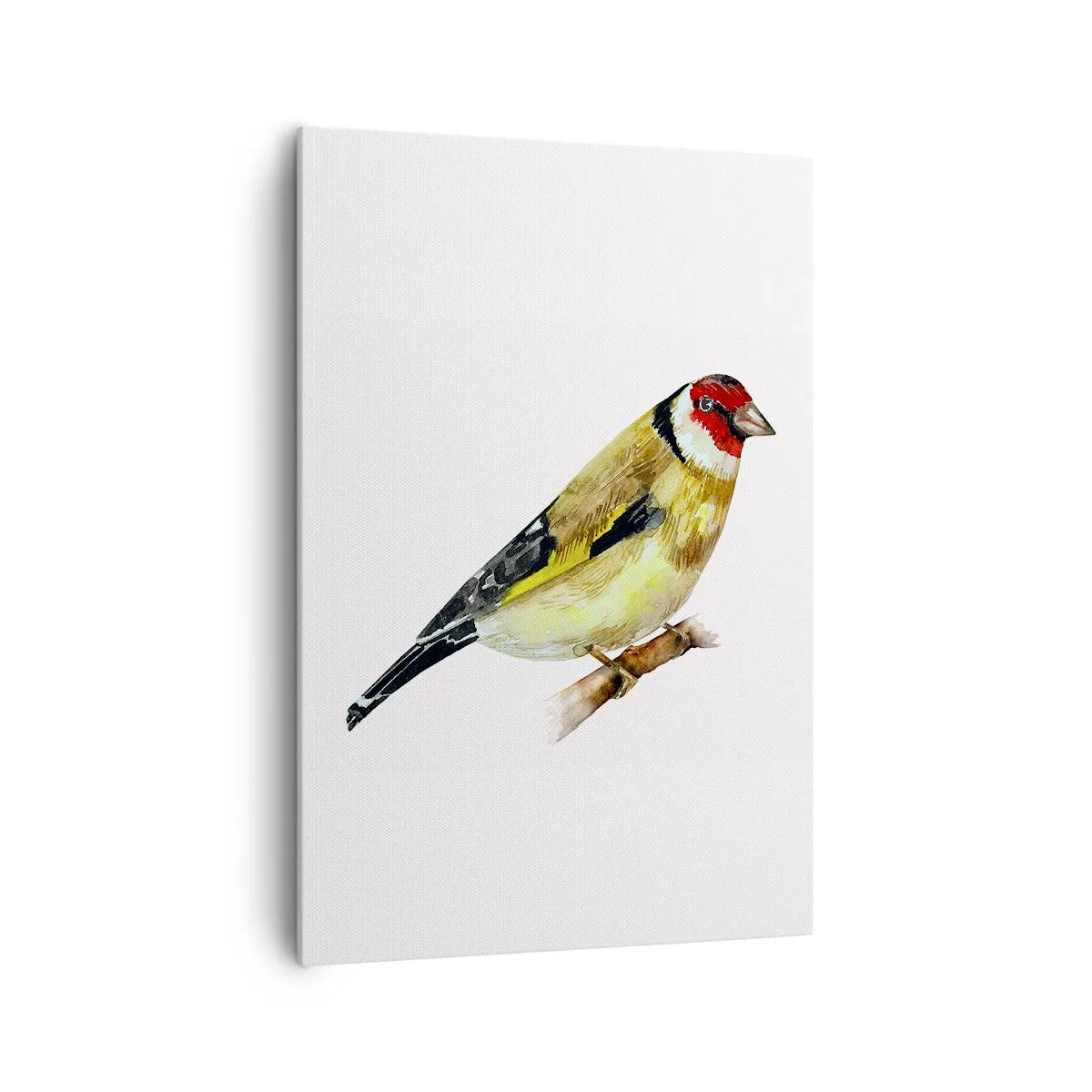 Quadro em tela - Retrato de um pássaro - 70x100 cm