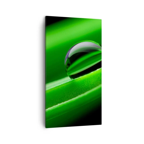 Quadro em tela - A vida de perto - 45x80 cm