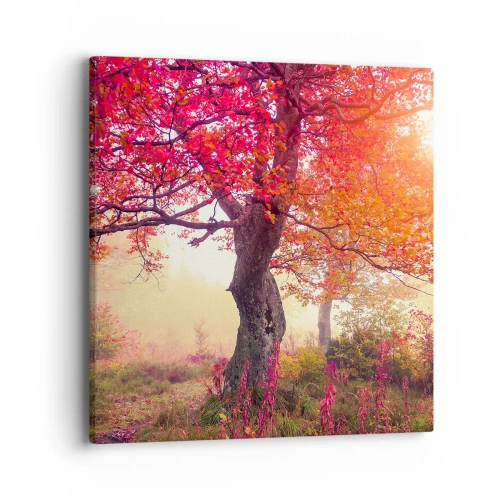 Quadro em tela - Um frenesi de florescimento - 40x40 cm