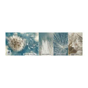 Amostra de papel de parede Premium Sand - Respiração de um anjo - Natureza, verão indiano, Pedaço - 100x30 cm