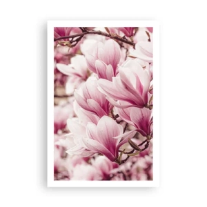 Pôster - A primavera é rosa - 61x91 cm