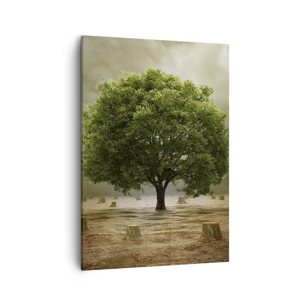 Quadro em tela - Toda a esperança - 50x70 cm