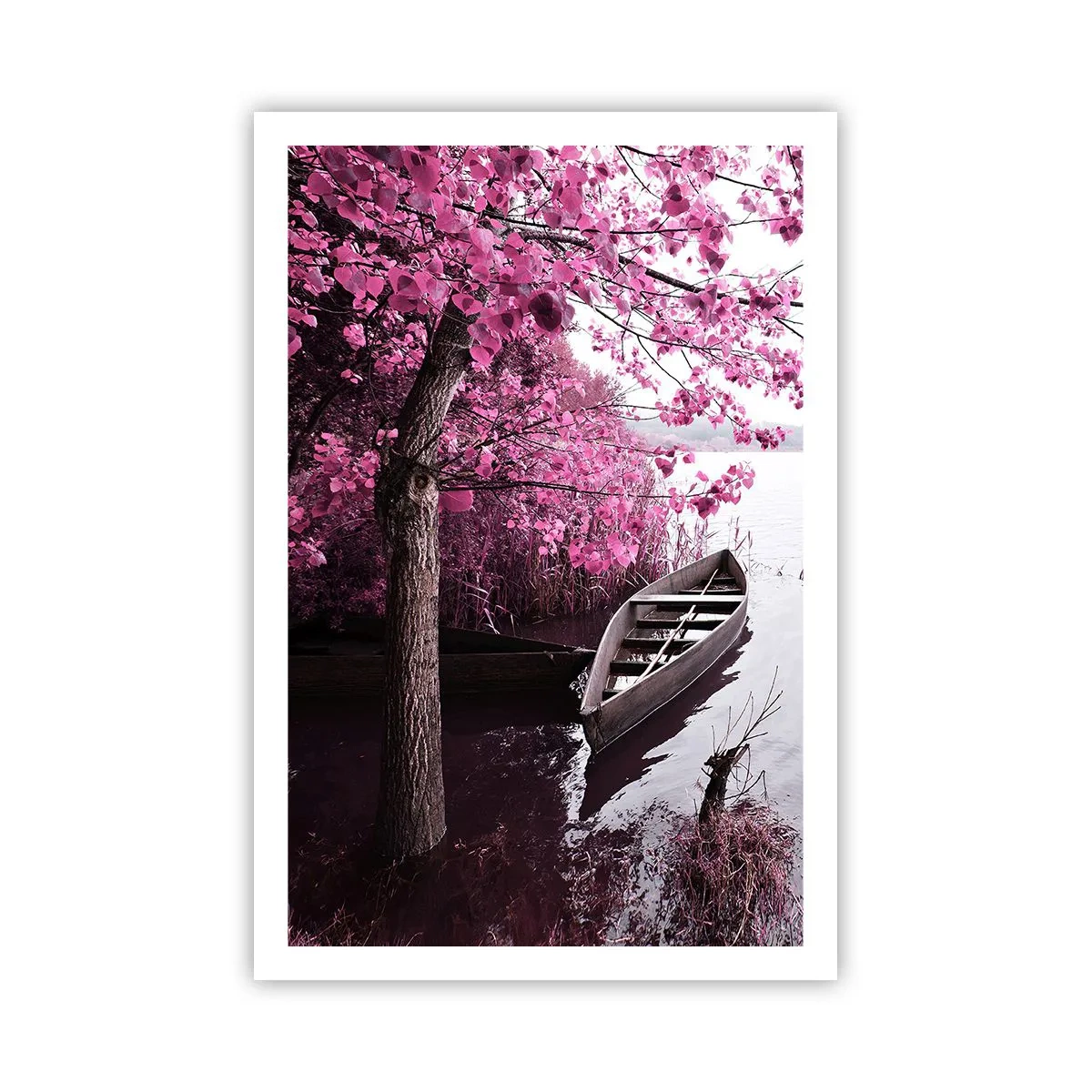 Pôster - Em silêncio cor-de-rosa - 61x91 cm
